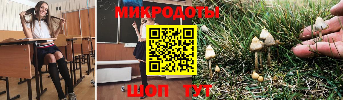 Благодарный  Галлюциногенные грибы GOLDEN TEACHER  Вход с VPN 